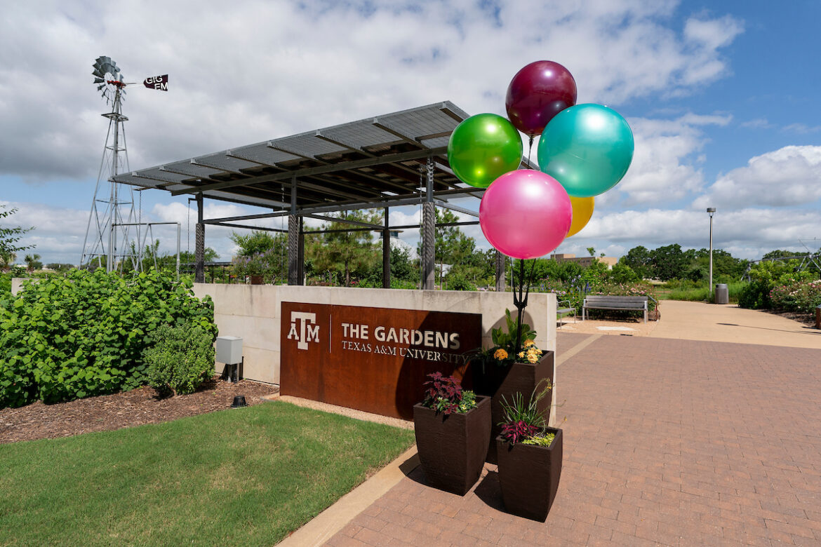 Balloons next to an entry sign that says The Gardens at Texas A&M