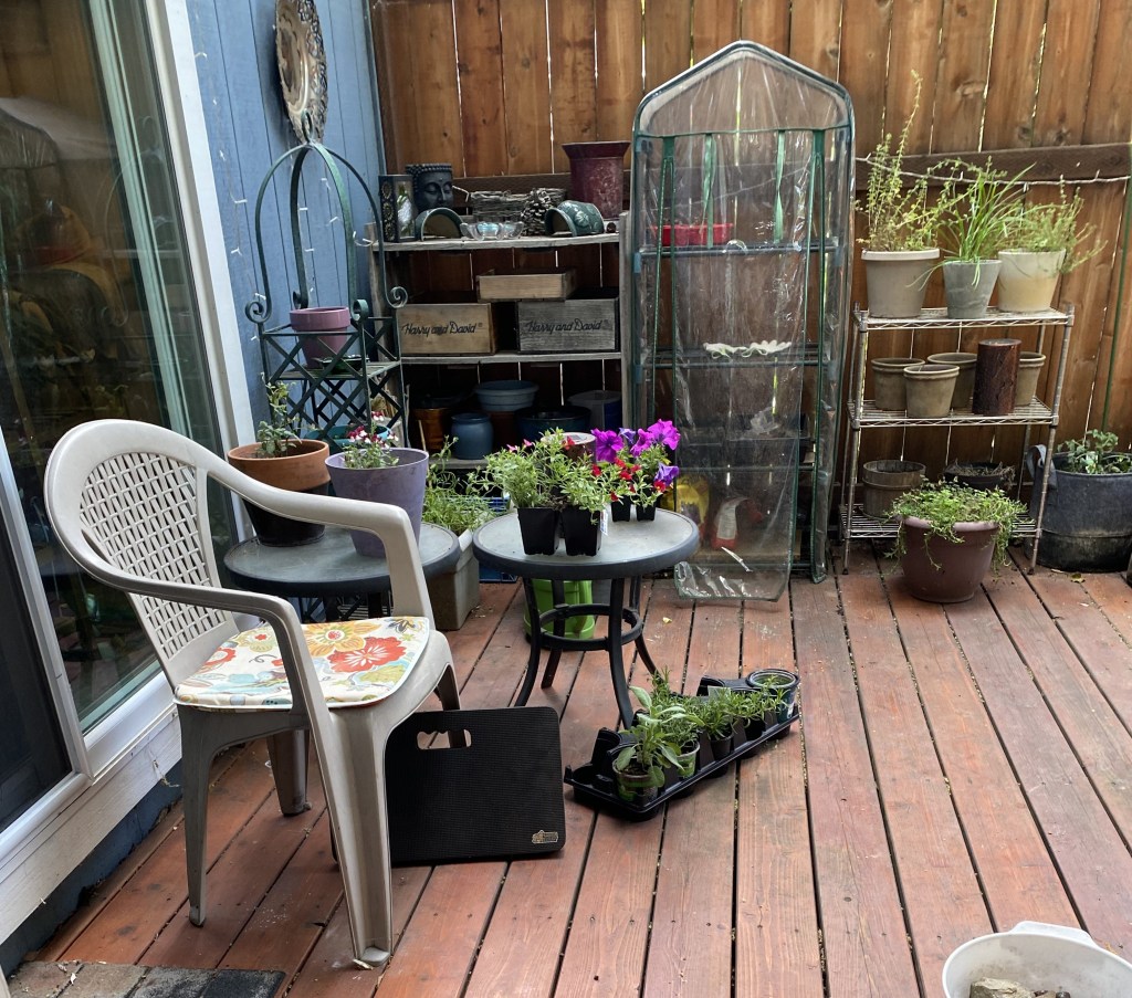 Side view of patio with tables, chair, and shelves and various plants 
