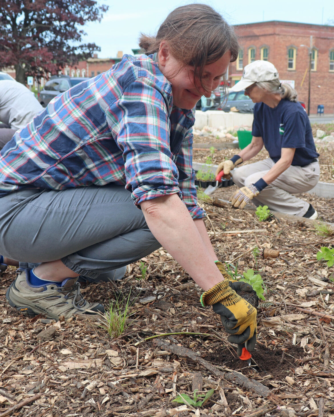 Emily Hastings, on left, and Cathy Shrady, chair of Canton Sustainability Committee, were among the volunteers who put in a new native demonstration garden on Main Street, Canton, May 19. NCNow photo.