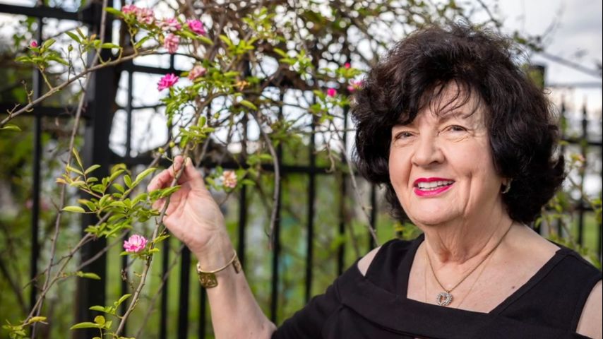 2 Make a Difference: 20 years after Katrina, the Peggy Martin rose is still growing across the US 2 Make a Difference: 20 years after Katrina, the Peggy Martin rose is still growing across the US