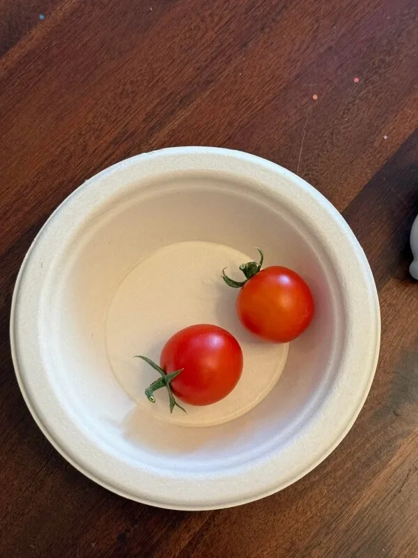 Photo Credit: Reddit
