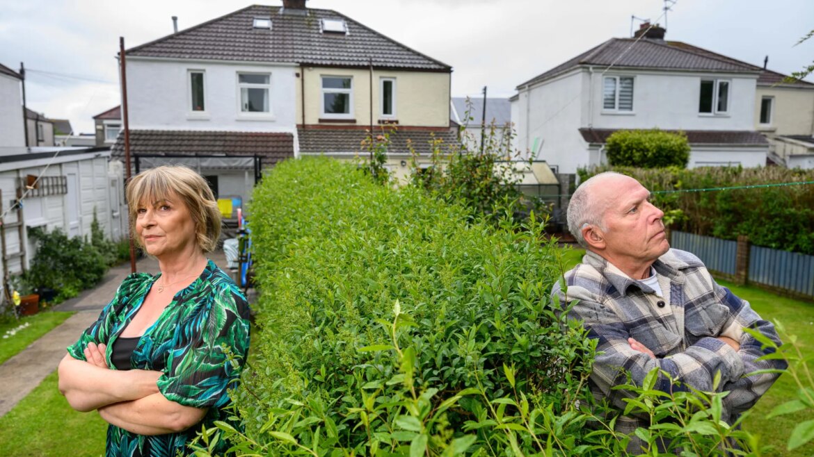 I’m on ‘high alert’ after neighbour made an astonishing demand about my garden