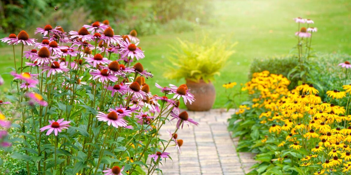 The 70/30 Rule for Beautiful Gardens That Experts Swear By The 70/30 Rule for Beautiful Gardens That Experts Swear By