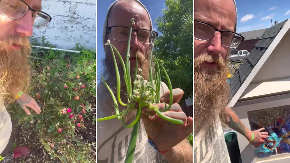 Gardener says one unexpected hobby revealed a hidden world of free plants, supplies, and generosity Gardener says one unexpected hobby revealed a hidden world of free plants, supplies, and generosity