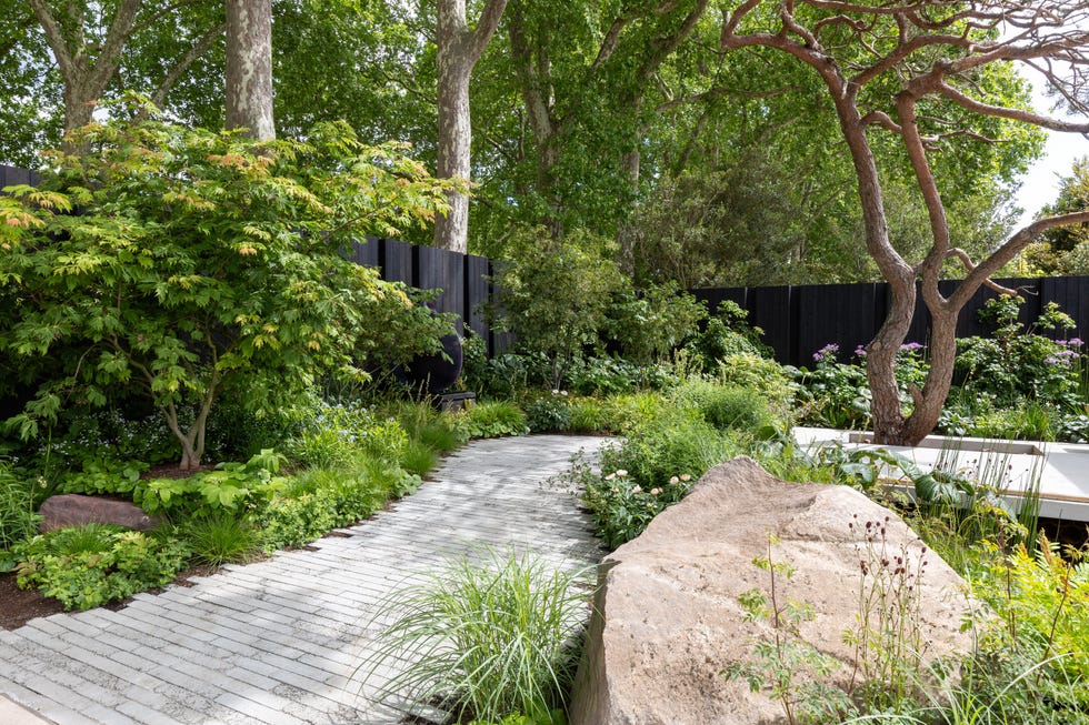 rhs chelsea flower show 2026 the asthma and lung uk breathing space garden