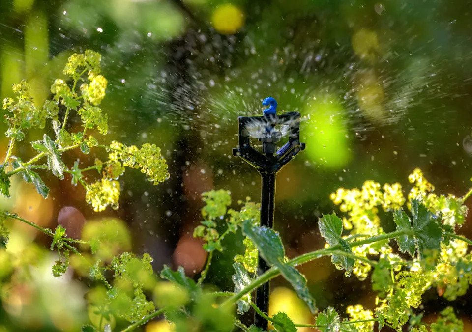 Automatic irrigation (Alamy/PA)