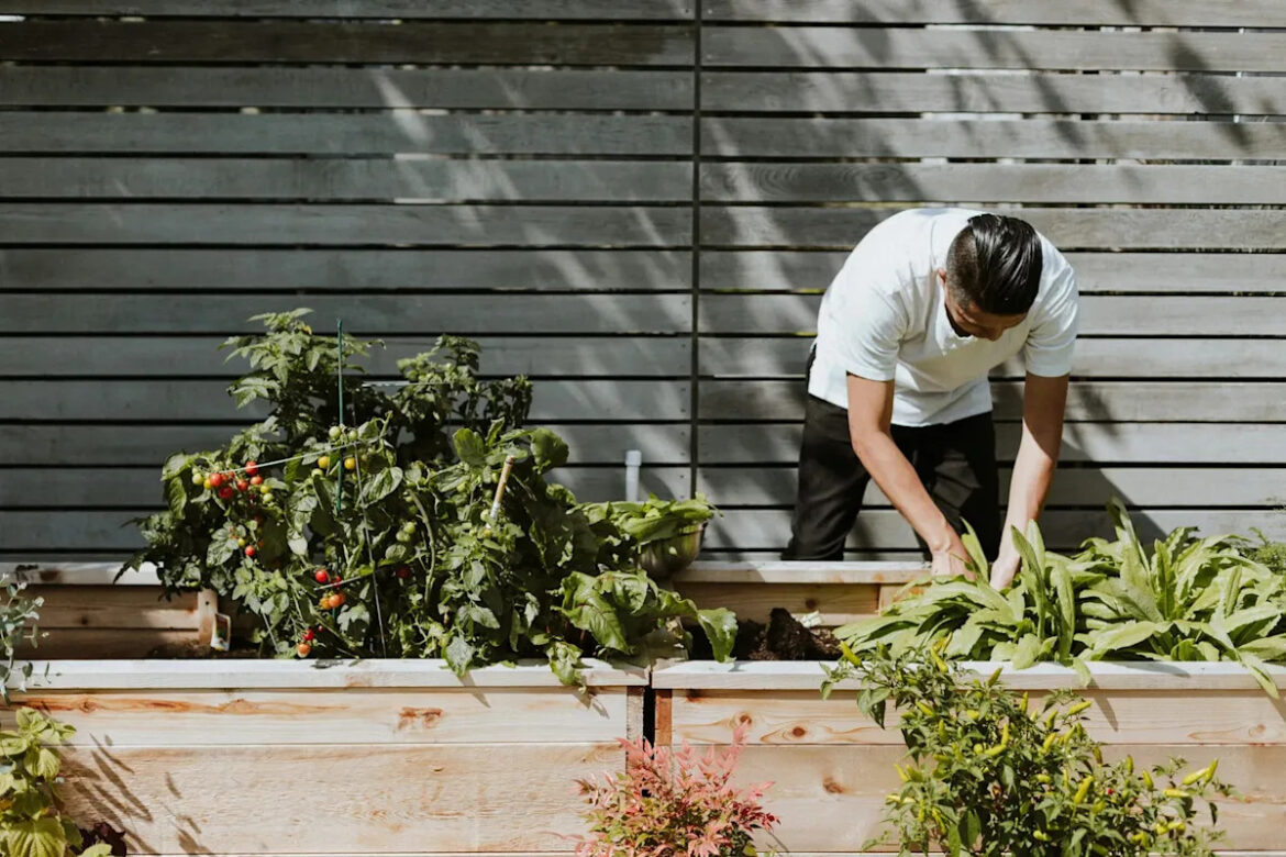The Unsung Experts: Professional Gardeners Move Toward Greater Recognition The Unsung Experts: Professional Gardeners Move Toward Greater Recognition