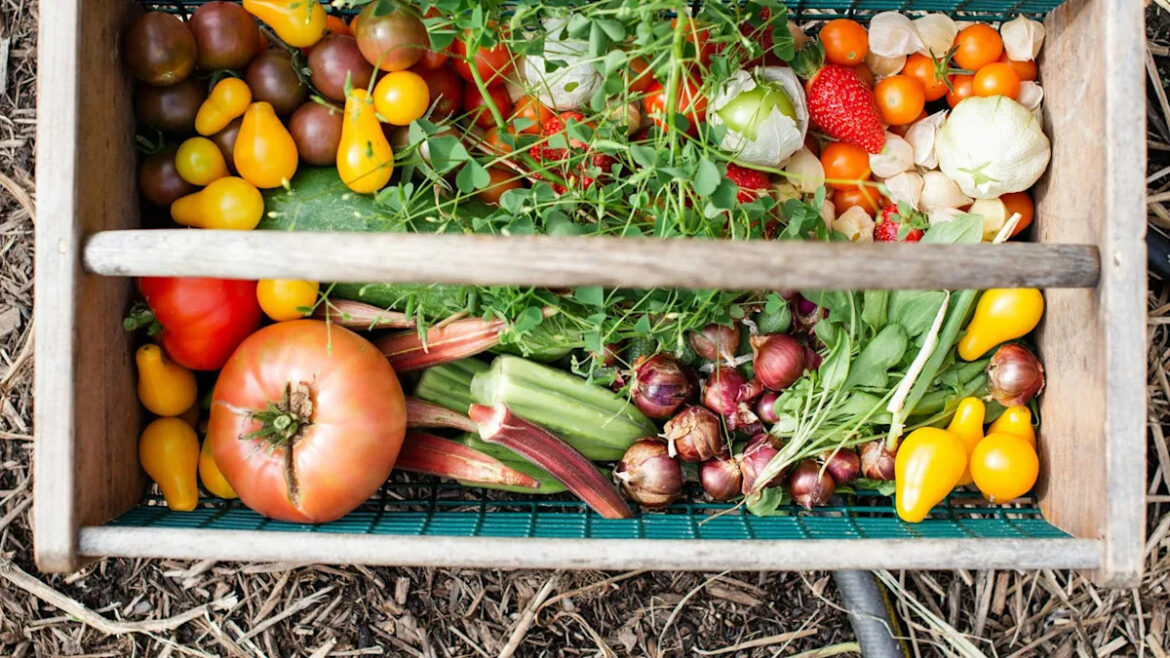 Greta Lee Couldn’t Wait to Share Her Newest Gardening Successes on Amy Poehler’s Podcast Greta Lee Couldn't Wait to Share Her Newest Gardening Successes on Amy Poehler’s Podcast