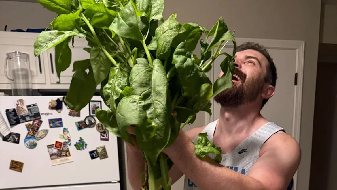 Gardener grows spinach with leaves bigger than a hand, and commenters think they know the variety