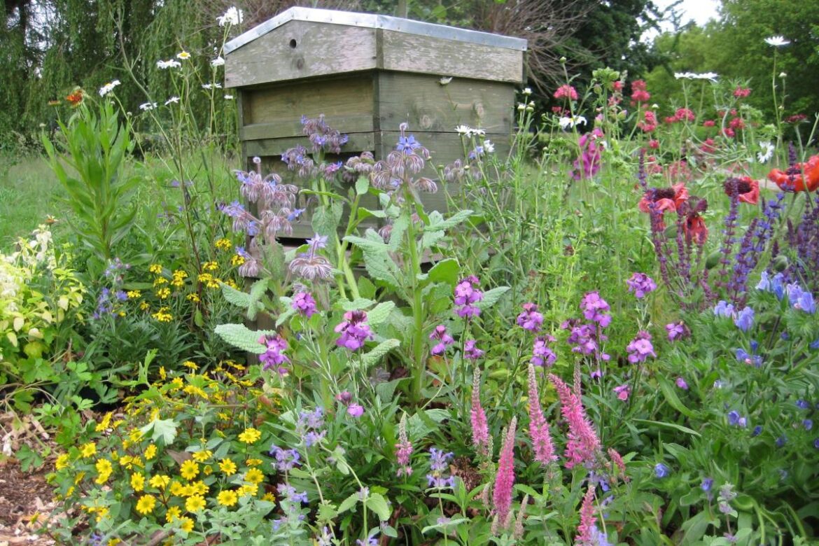 How to help bees thrive in your garden this summer How to help bees thrive in your garden this summer