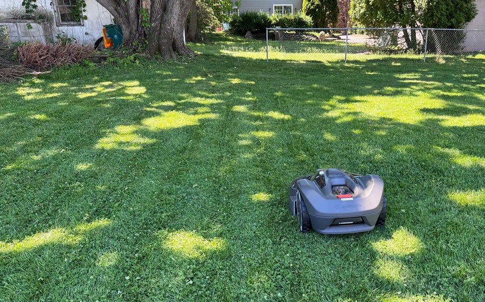 Robotic lawn mower on a grassy yard with trees in the background. Robotic lawn mower on a grassy yard with trees in the background.