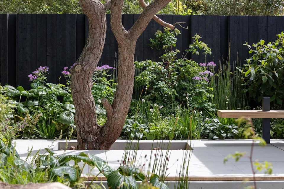 rhs chelsea flower show 2026 the asthma and lung uk breathing space garden