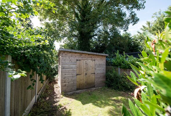 A general view of a small tool shed at the bottom of a garden