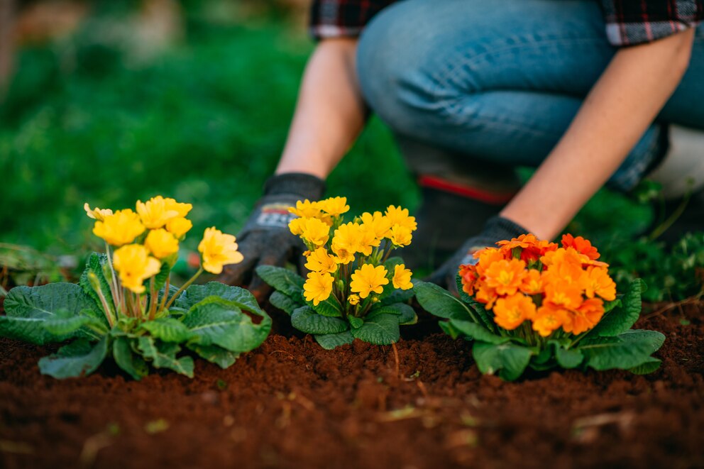 Flowers in the Vegetable Garden Are the Secret Weapon for Your Yard Flowers in the Vegetable Garden Are the Secret Weapon for Your Yard