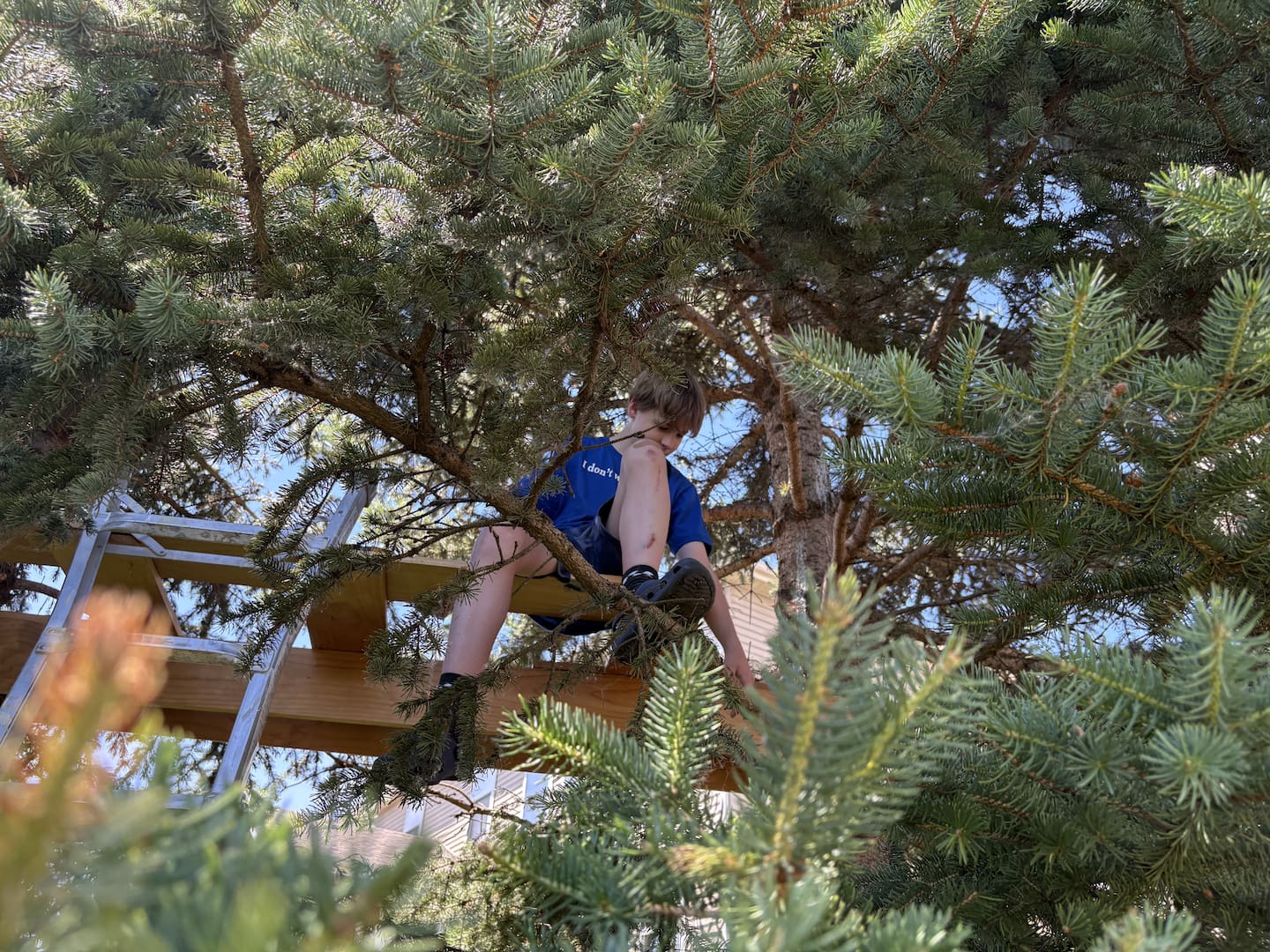 Max Santerelli, 13, of Lake in the Hills sits on his treehouse before he removed it Tuesday, June 2, 2026.