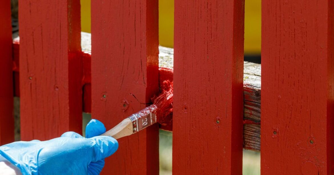 Colours to never paint your fence or risk a ‘tired’ garden and a devalued home Colours to never paint your fence or risk a ‘tired’ garden and a devalued home