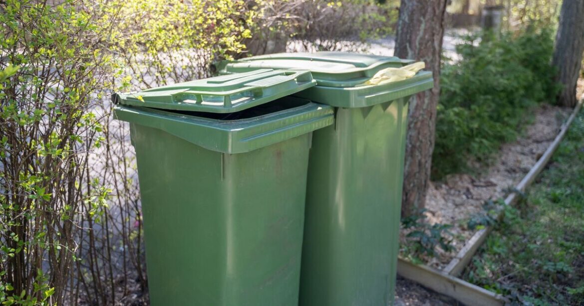 3 items you should never put in the bin if discovered in your garden 3 items you should never put in the bin if discovered in your garden