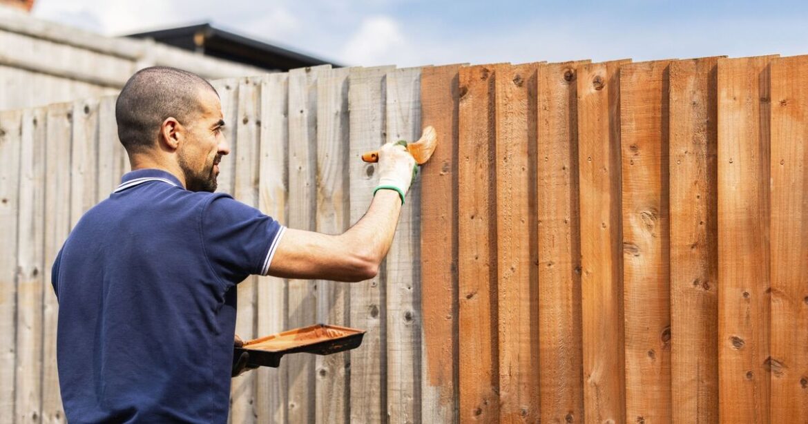 My neighbour is painting my fence - experts confirm what you can do | UK | News