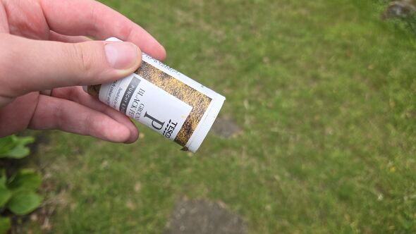 black pepper