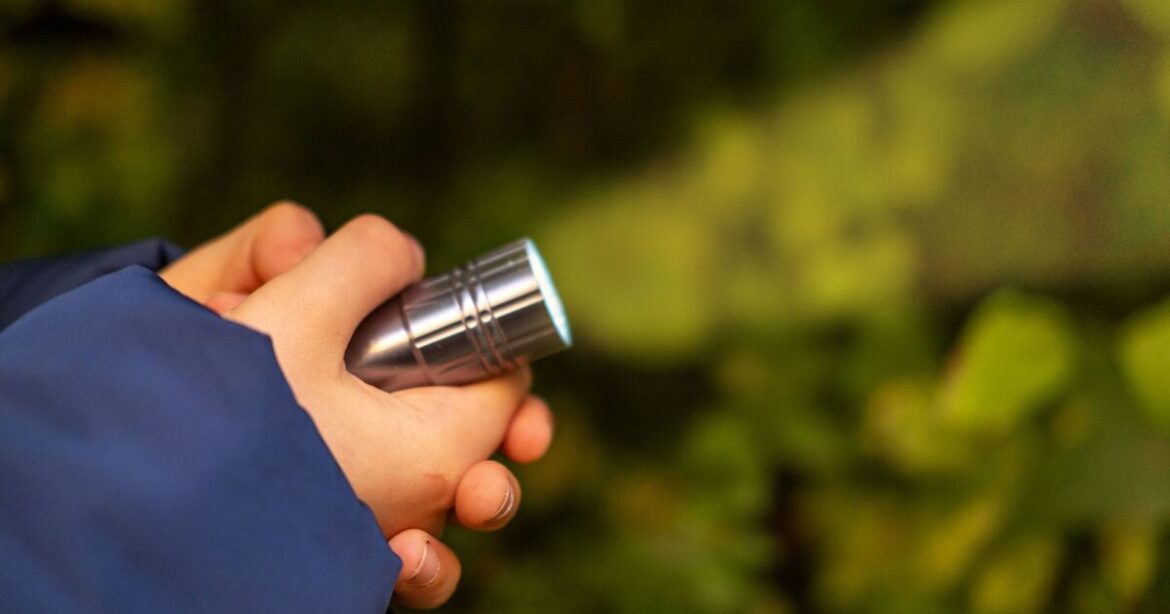 Gardeners urged to take torch into garden this June for 'early warning system'