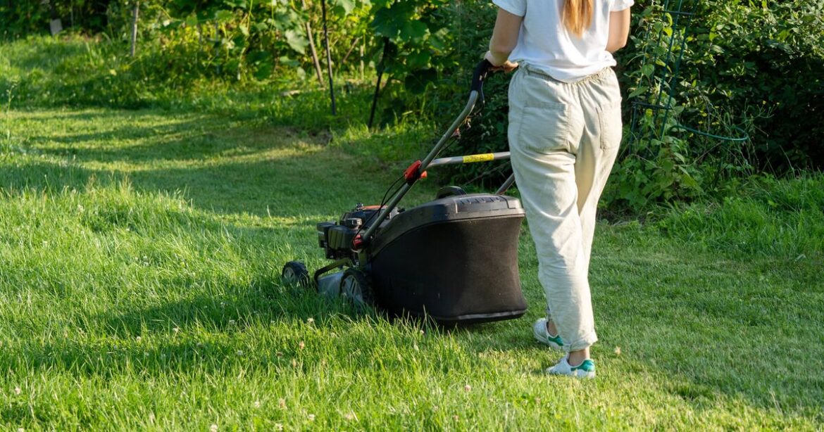 'Essential precautions' to take before mowing lawn after rain
