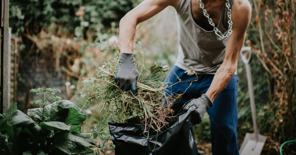 Gardening expert says 1 job before July will stop weeds growing Gardening expert says 1 job before July will stop weeds growing