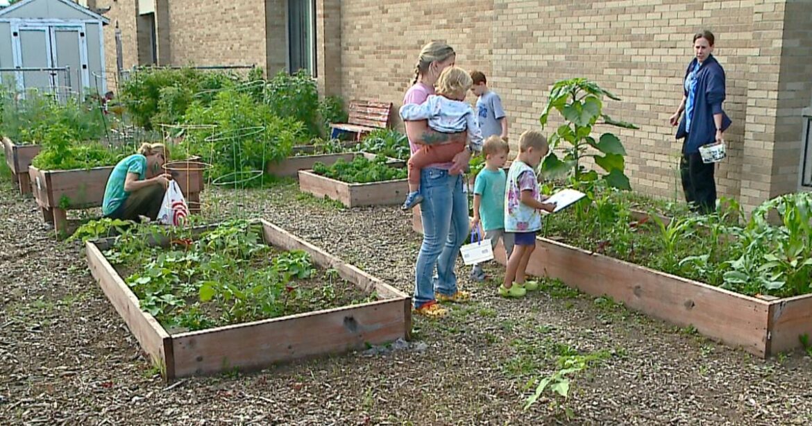 GROW kicks off summer school garden party series open to La Crosse and La Crescent communities | News GROW kicks off summer school garden party series open to La Crosse and La Crescent communities | News
