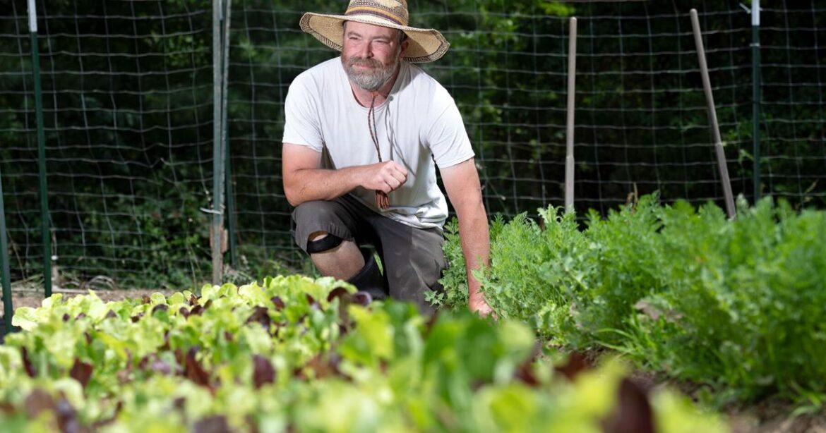 A gardening dream team: couple grows access to healthy foods | Nvdaily A gardening dream team: couple grows access to healthy foods | Nvdaily