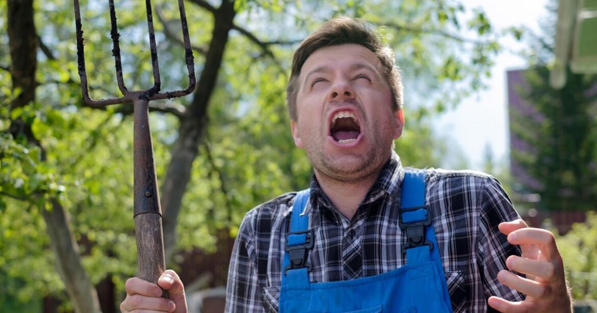 Jeremy Wexler: Hostas vs hail — The trials and tribulations of the Montreal gardener | Home & Garden Jeremy Wexler: Hostas vs hail — The trials and tribulations of the Montreal gardener | Home & Garden