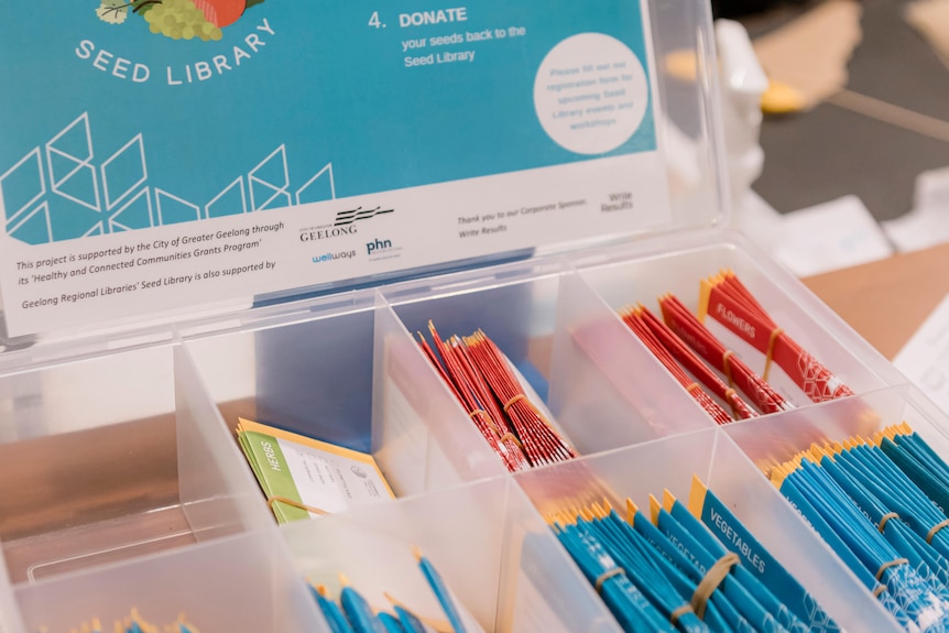 A plastic box with seed packages on a shelf.