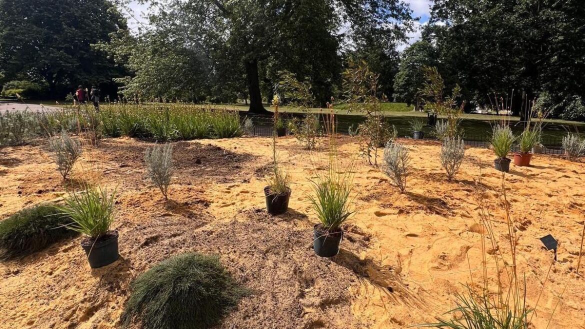 Chelsea Flower Show's Australian garden replanted