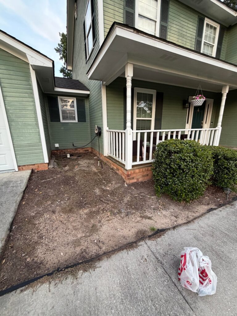 First real try at landscaping/planting First real try at landscaping/planting