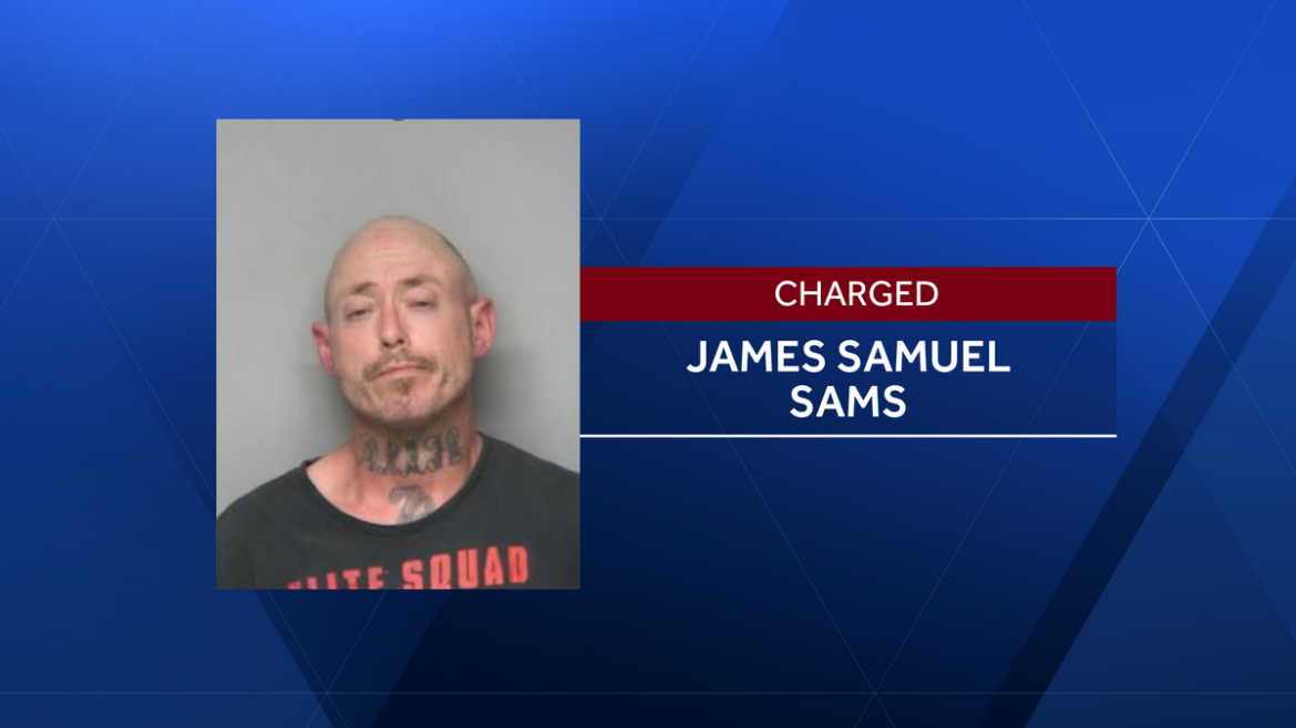 Pleasant Garden burglary suspect captured after traffic stop