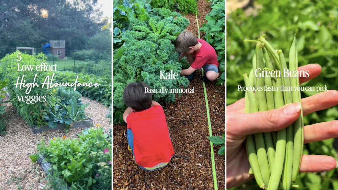 Gardener reveals 15 'overachiever' crops that keep producing with almost no effort
