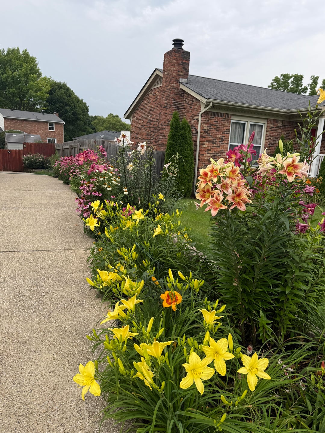 A Riot of Color Perenial Border - All For Gardening