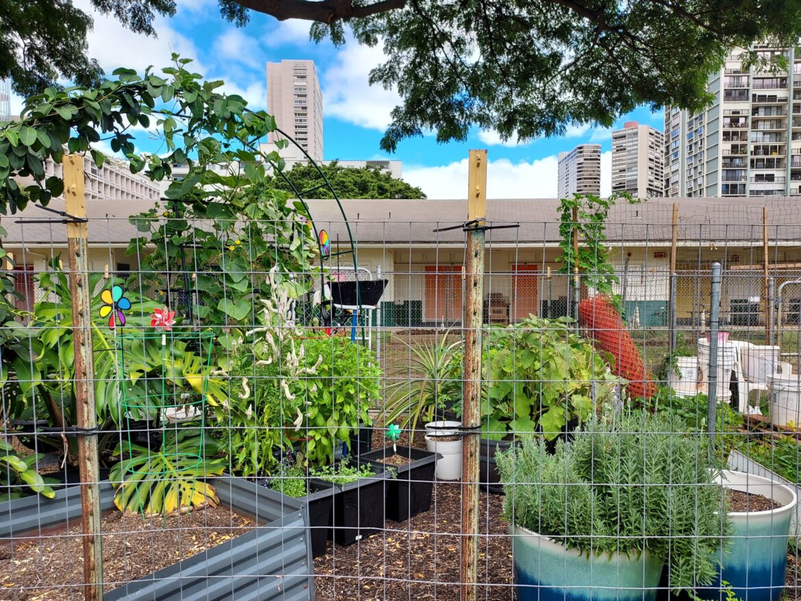Perimeter fencing projects beginning for two Honolulu community gardens Perimeter fencing projects beginning for two Honolulu community gardens