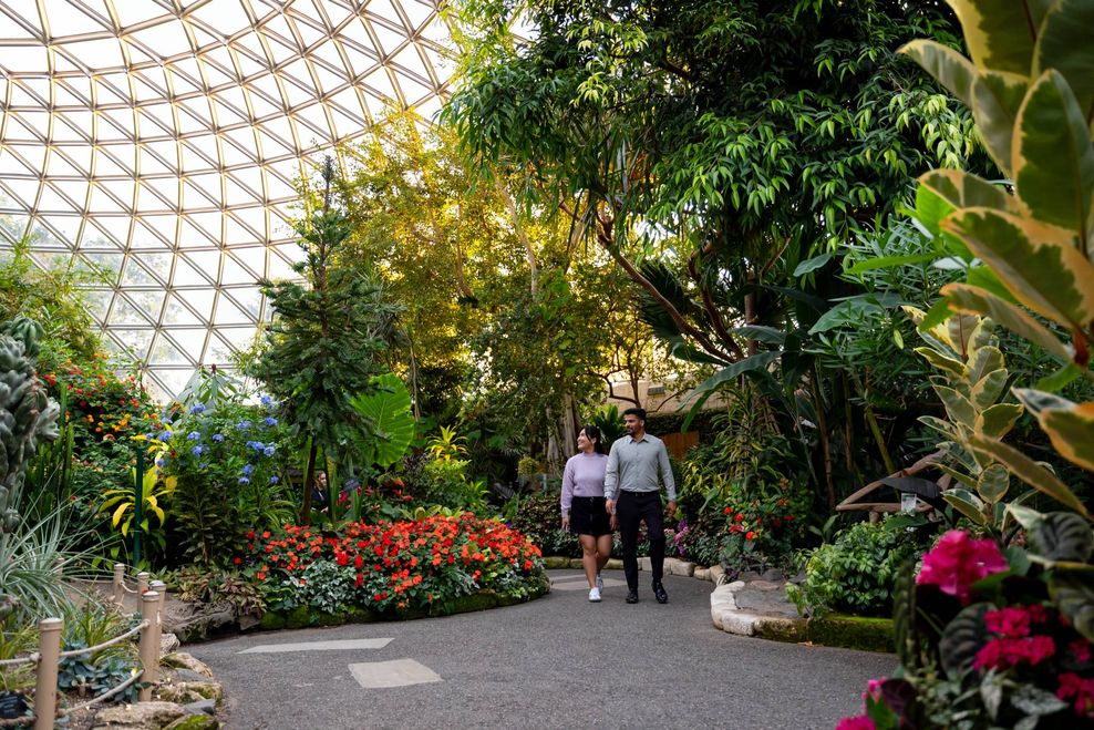 Bloedel Conservatory