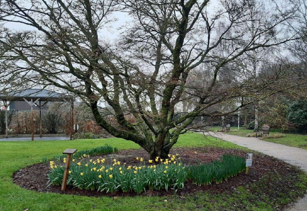 BBC Radio 4’s Gardeners’ Question Time coming to Spalding BBC Radio 4’s Gardeners’ Question Time coming to Spalding