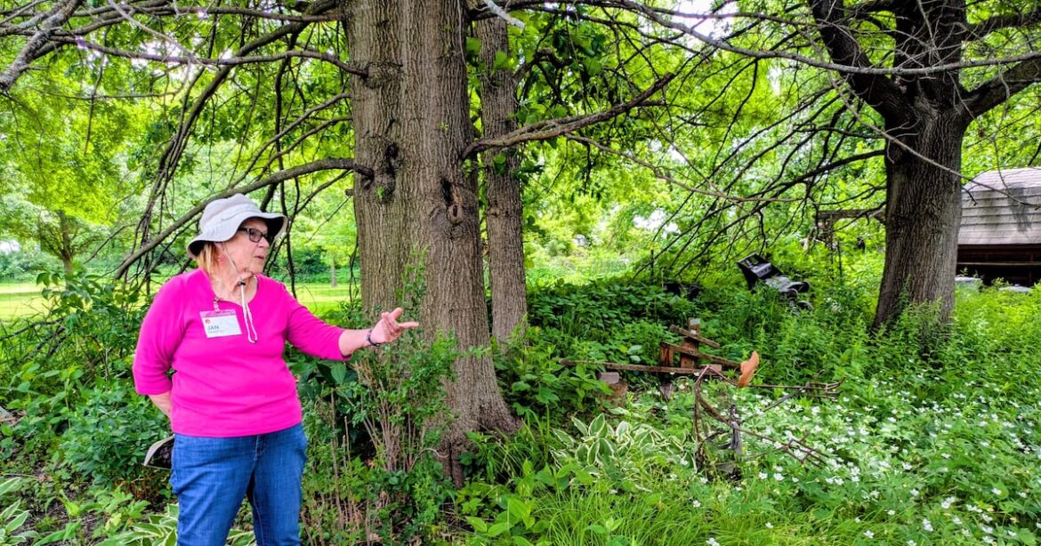 Gardening group hosts tours in DeKalb – Shaw Local