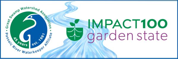 GREAT SWAMP WATERSHED ASSOCIATION BECOMES FIRST ENVIRONMENTAL ORGANIZATION TO RECEIVE $100,000 IMPACT100 GARDEN STATE GRANT GREAT SWAMP WATERSHED ASSOCIATION BECOMES FIRST ENVIRONMENTAL ORGANIZATION TO RECEIVE $100,000 IMPACT100 GARDEN STATE GRANT