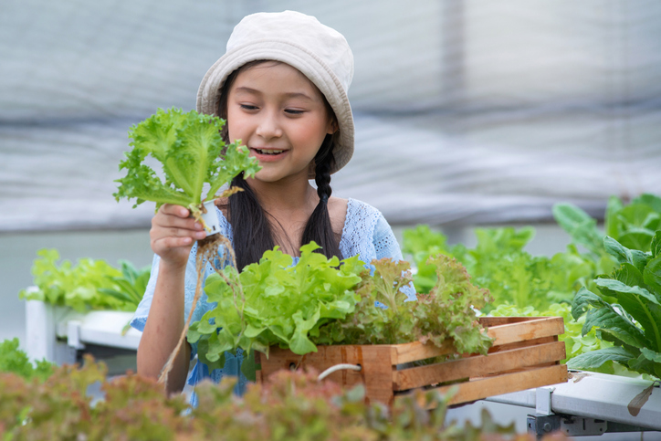 Planting confidence through art and gardening Happy little girl looking at hydroponic vegetables in her hands at greenhouse garden, learning about bio plants