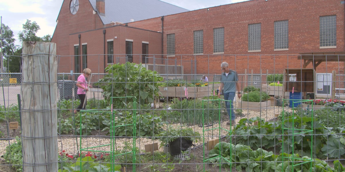 Volunteers offer fresh produce, plots in Grand Island community garden