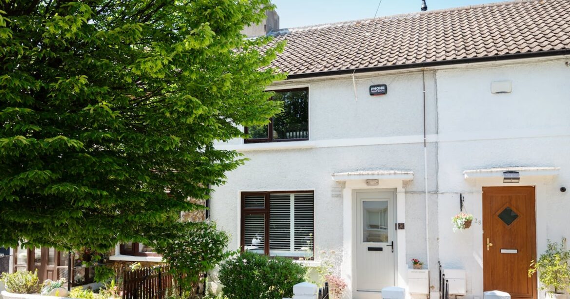 Look inside: Colurful modernised Terenure terrace with gorgeous garden – The Irish Times