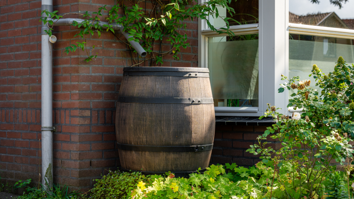 I’ve found a stash of the most stylish water butts
