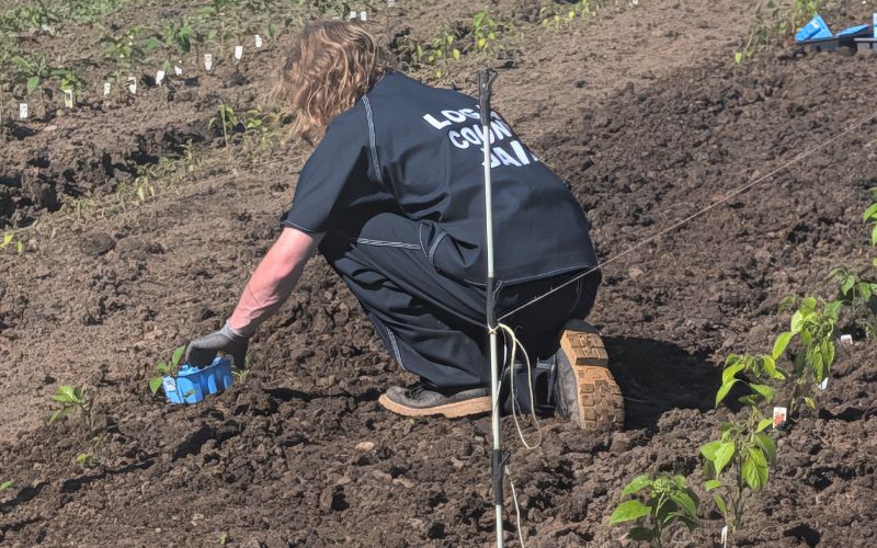 Logan County Jail growing more than food with expanding garden program – Peak of Ohio Logan County Jail growing more than food with expanding garden program