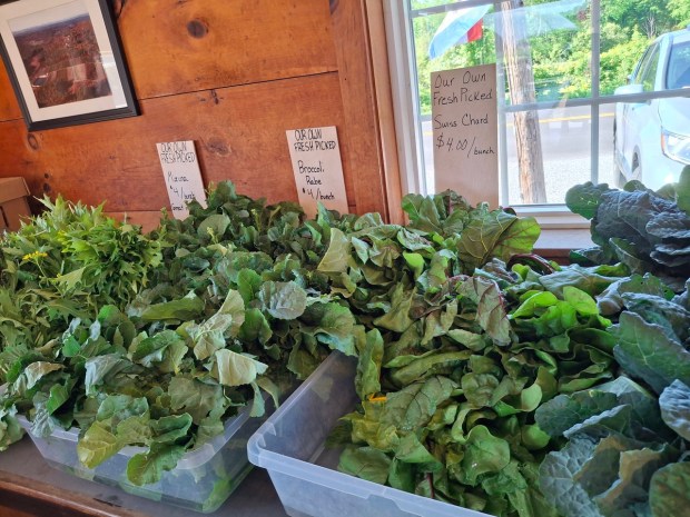 Don't miss the greens at Dick's Market Garden dark leafy greens are full of vitamins and nothing beats the fresh taste. (SALLY CRAGIN)