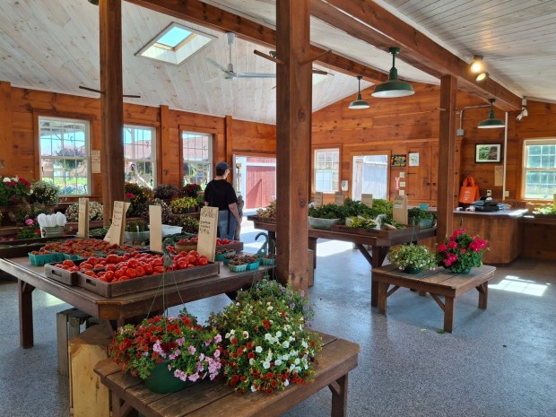 Dick's Market Garden farmstand has a wide variety of fruits and vegetables just coming into season. (SALLY CRAGIN)