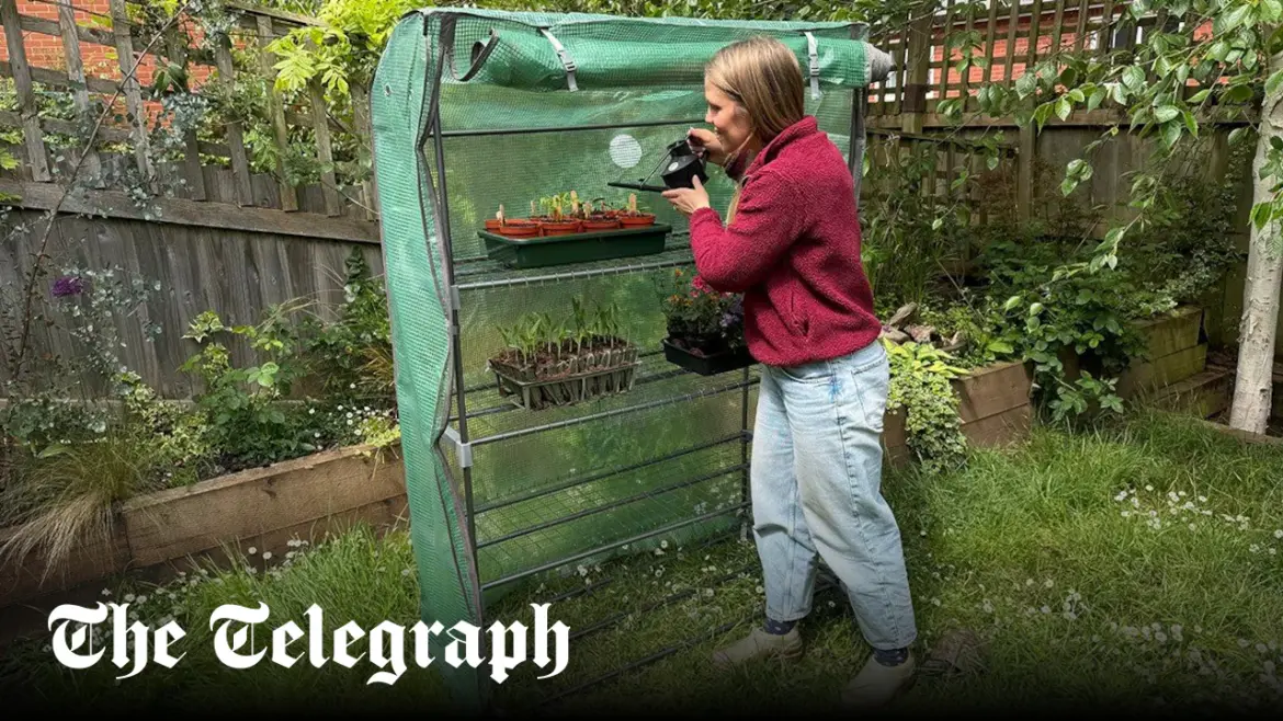 The best mini greenhouses and pop-up greenhouses that are worth your money The best mini greenhouses and pop-up greenhouses that are worth your money