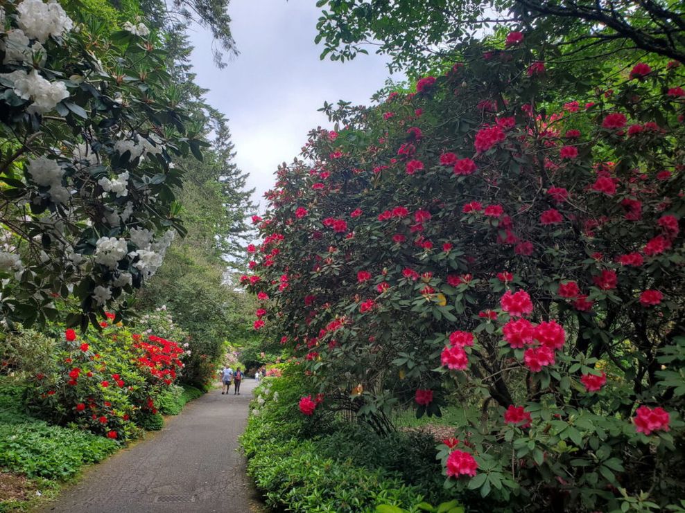 VanDusen