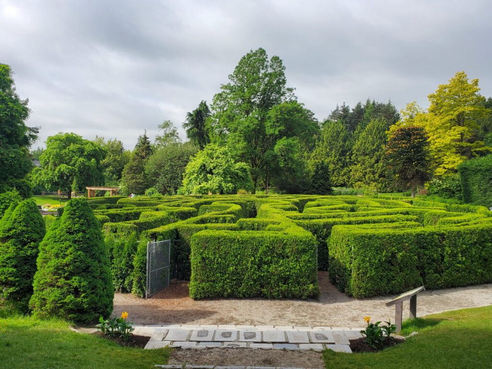 maze